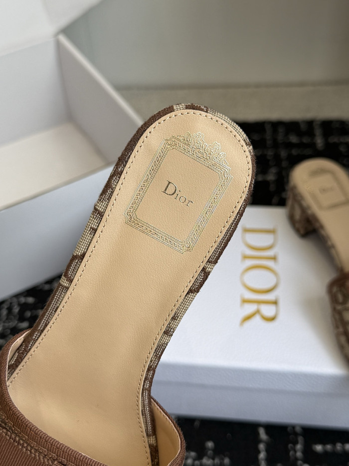 D10r SLIDES DS-0147
