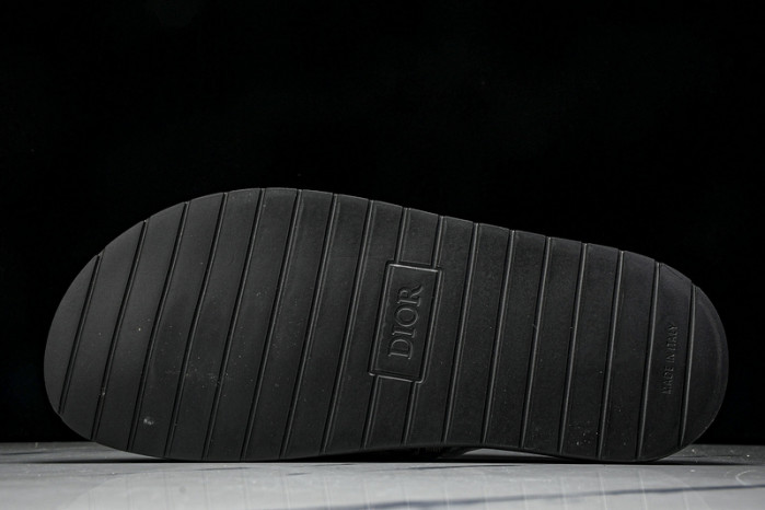 D10r slides ds-056