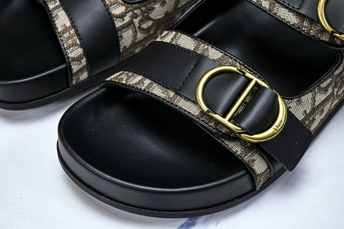 D10r SLIDES DS-097