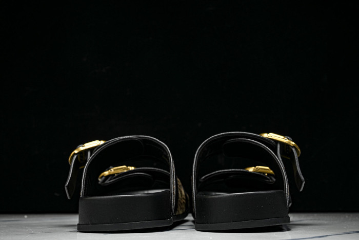 D10r SLIDES DS-097