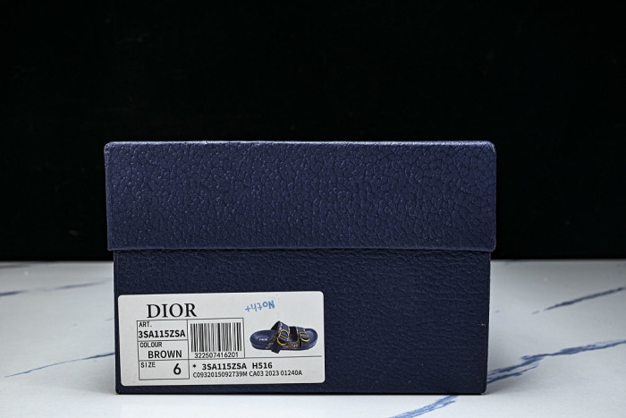 D10r SLIDES DS-097