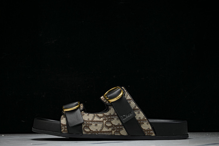 D10r SLIDES DS-097