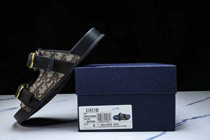 D10r SLIDES DS-097