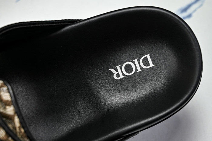 D10r SLIDES DS-097