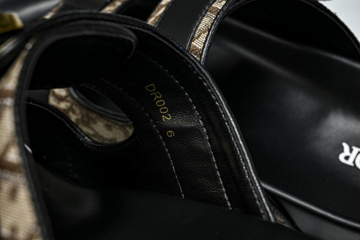 D10r SLIDES DS-097