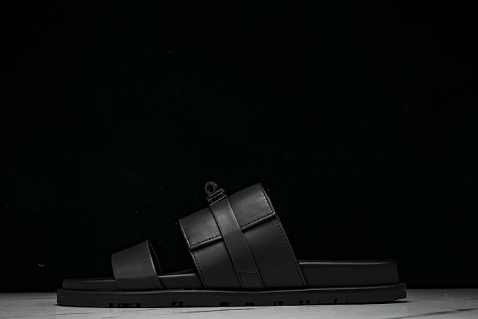 D10r SLIDES DS-098