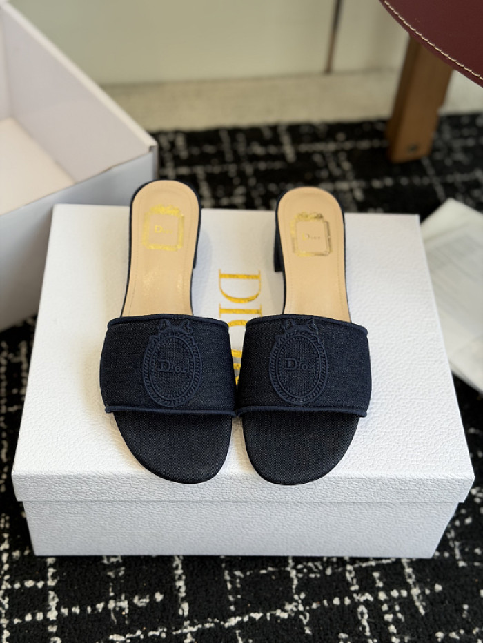 D10r SLIDES DS-0107