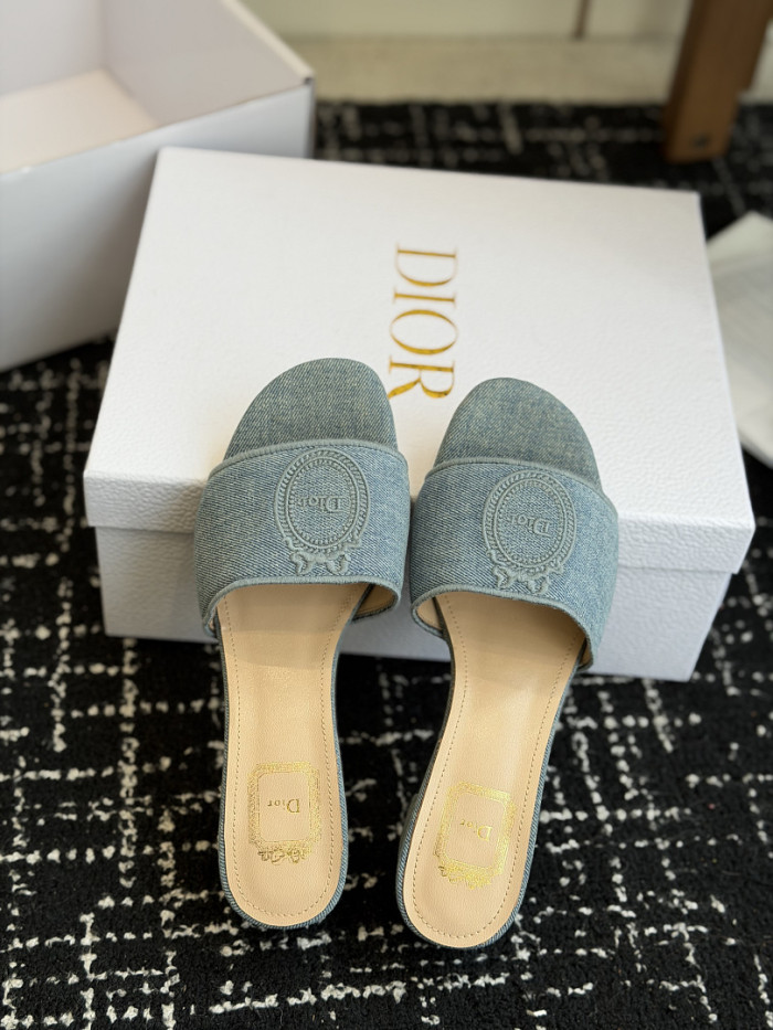 D10r SLIDES DS-0109
