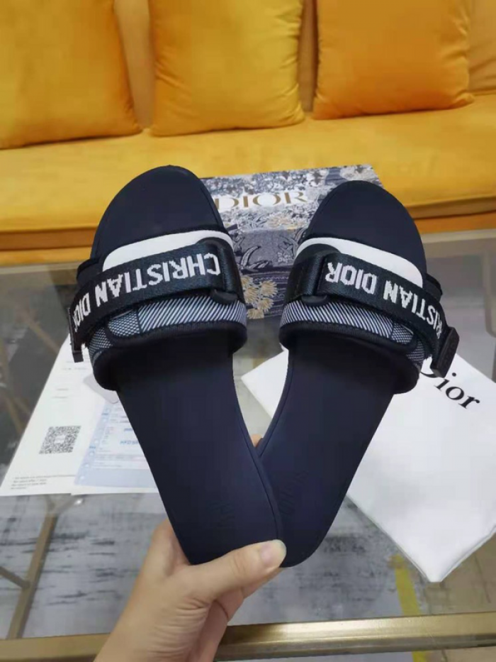 D10r slides ds-037