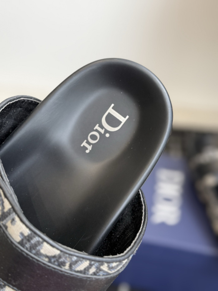 D10r SLIDES DS-0155