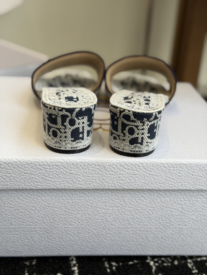 D10r SLIDES DS-0103