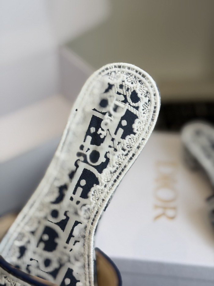 D10r SLIDES DS-0103