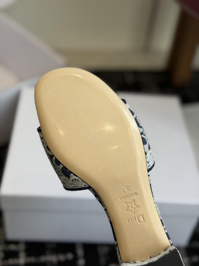 D10r SLIDES DS-0103