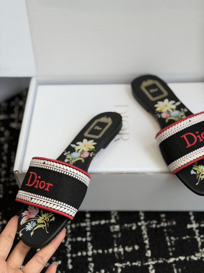 D10r SLIDES DS-0128