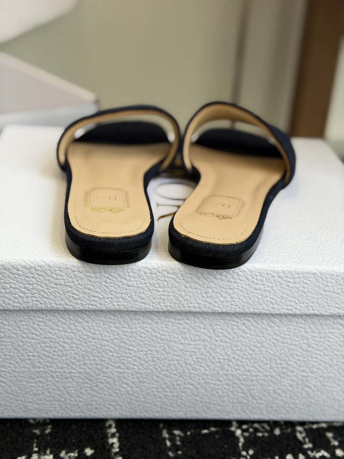 D10r SLIDES DS-0112