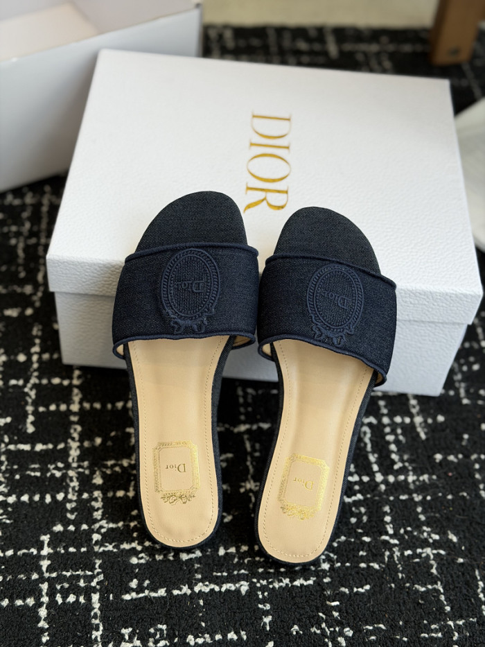 D10r SLIDES DS-0112