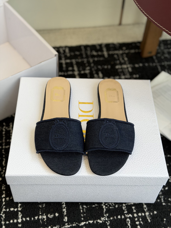D10r SLIDES DS-0112