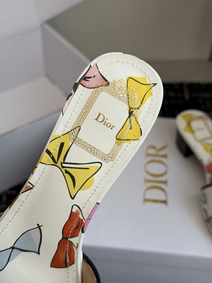 D10r SLIDES DS-0114