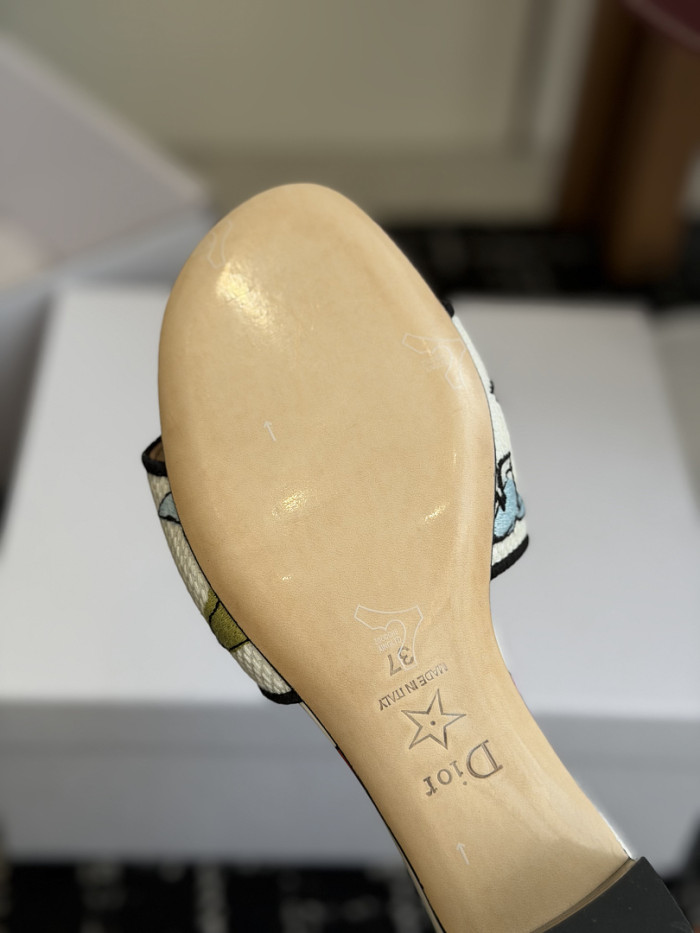 D10r SLIDES DS-0114