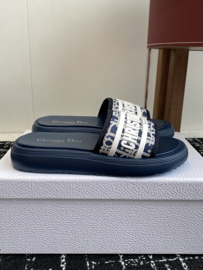 D10r slides ds-087