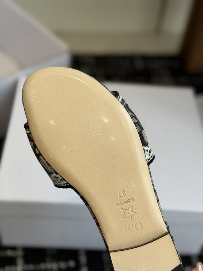 D10r SLIDES DS-0101