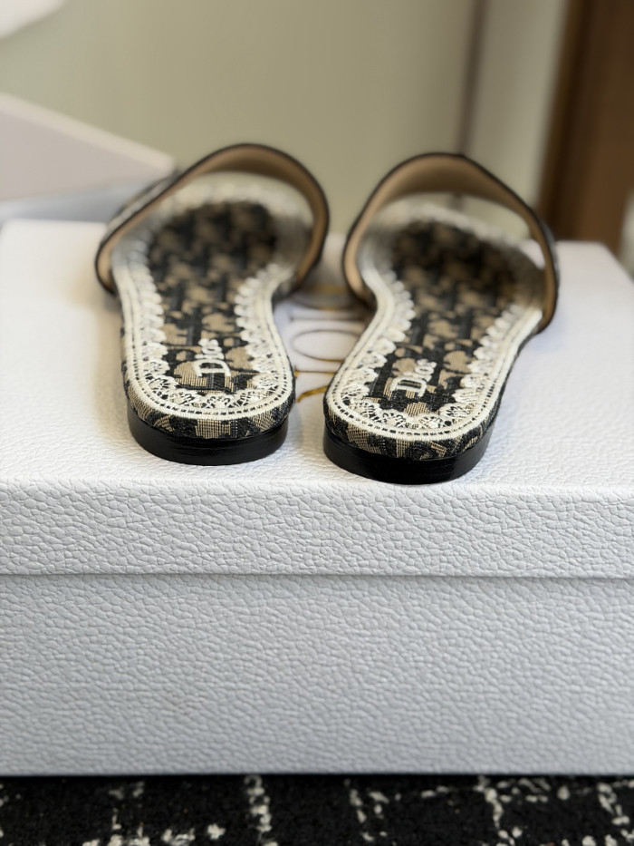 D10r SLIDES DS-0105