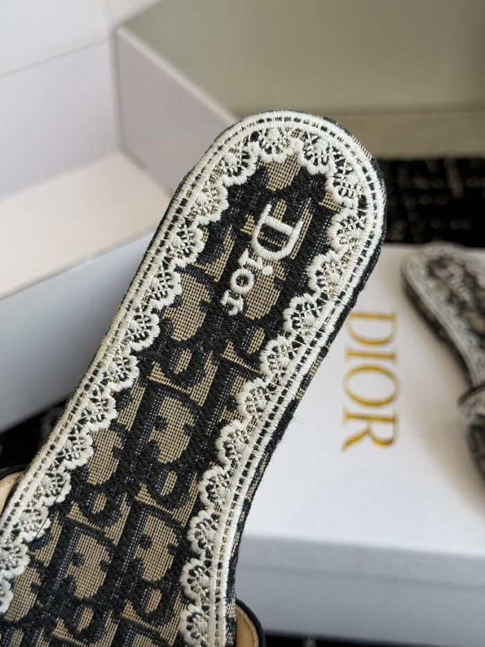 D10r SLIDES DS-0105