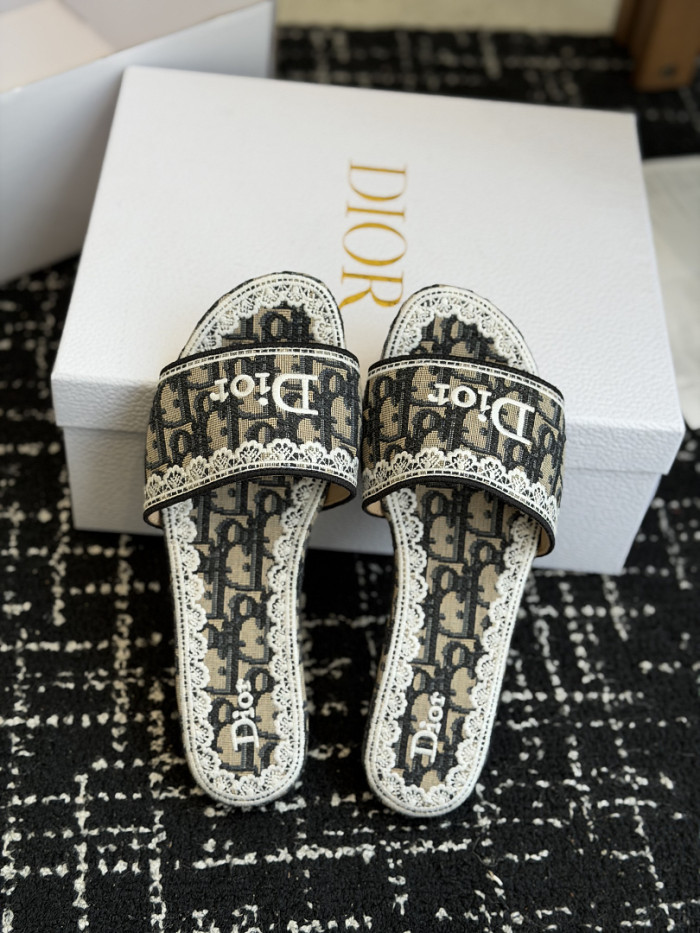 D10r SLIDES DS-0105