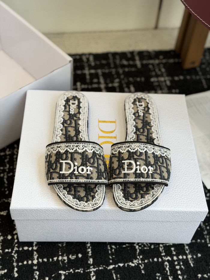 D10r SLIDES DS-0105