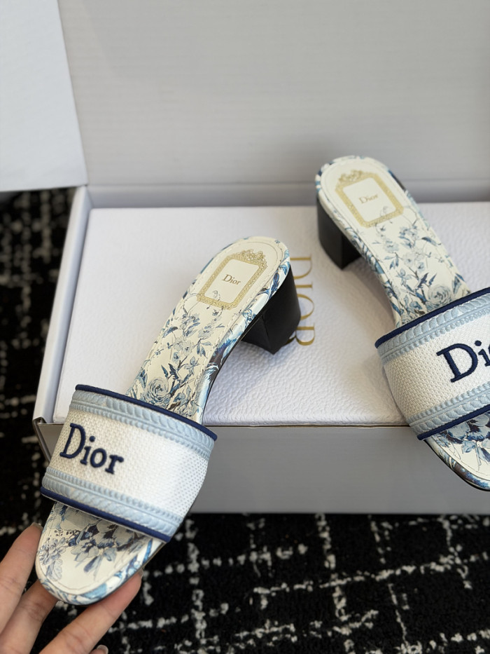 D10r SLIDES DS-0119