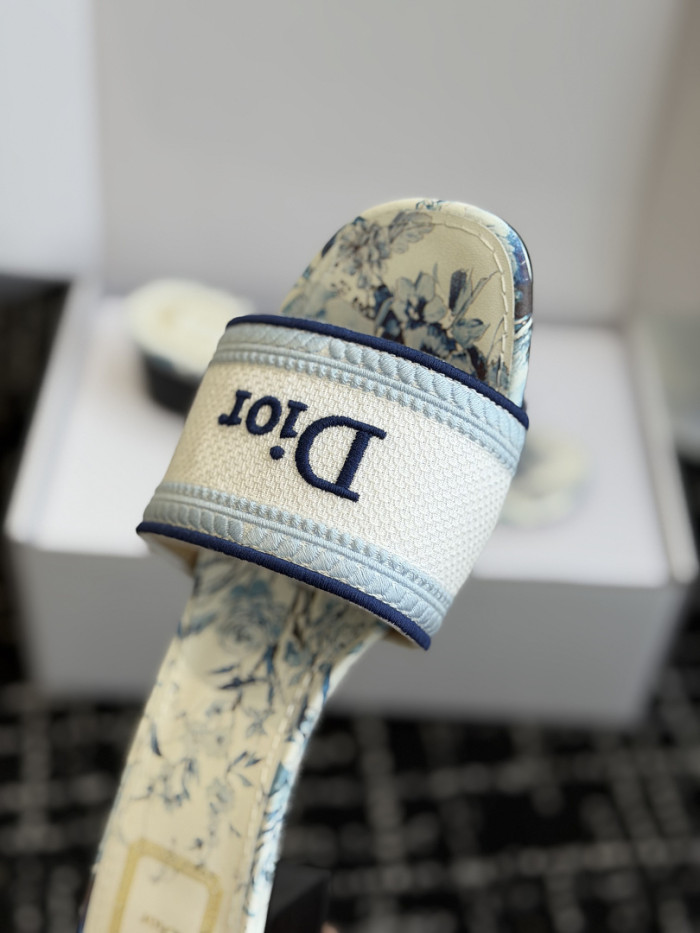 D10r SLIDES DS-0119