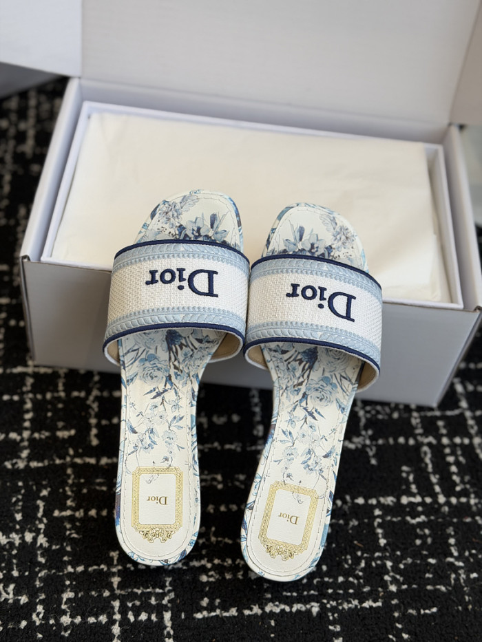 D10r SLIDES DS-0119