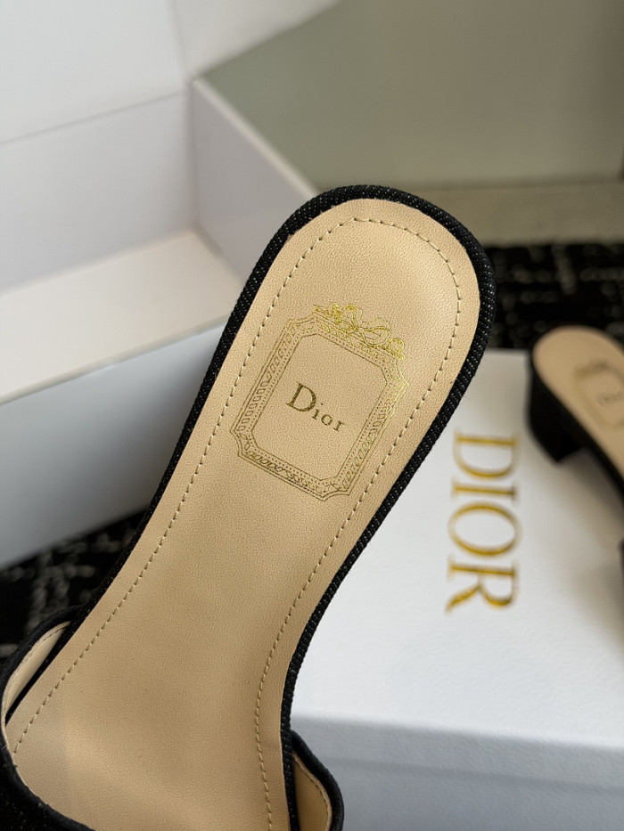 D10r SLIDES DS-0108