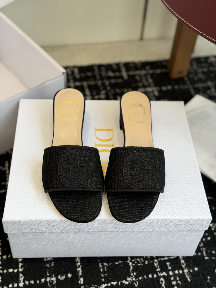D10r SLIDES DS-0108