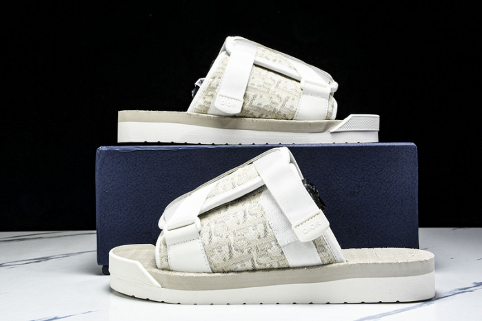 D10r slides ds-062