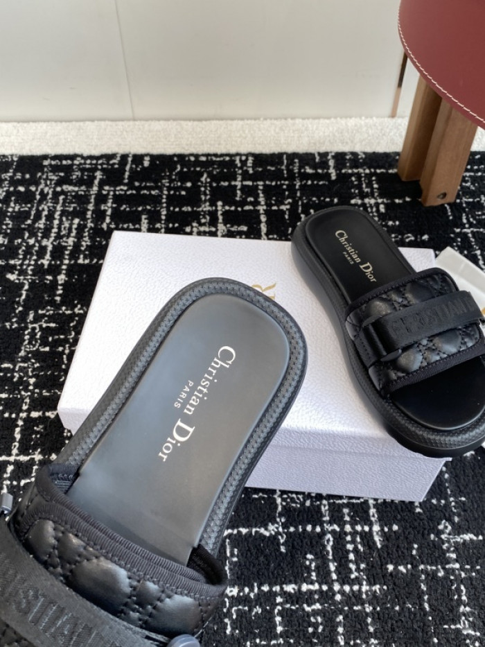 D10r slides ds-090