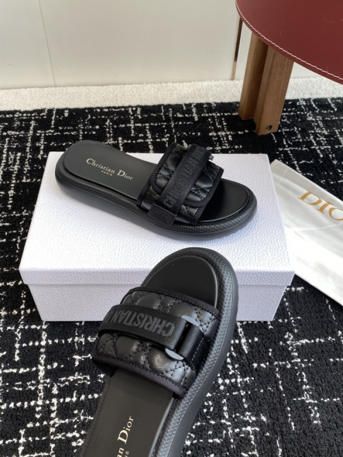 D10r slides ds-090