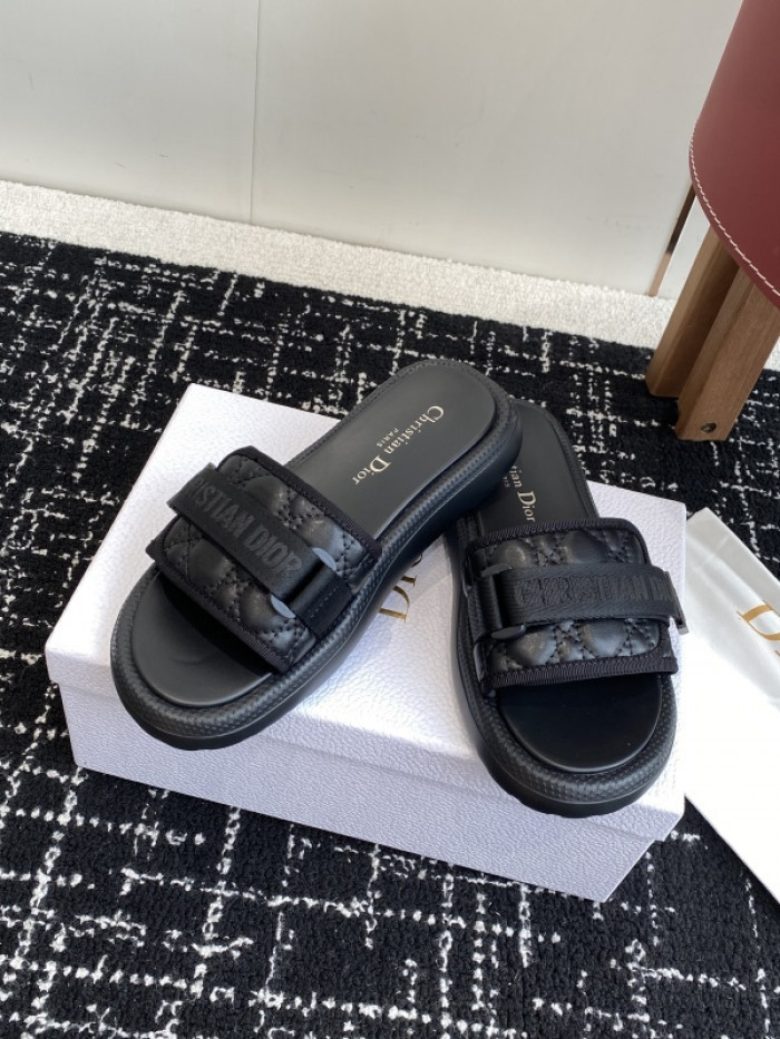 D10r slides ds-090