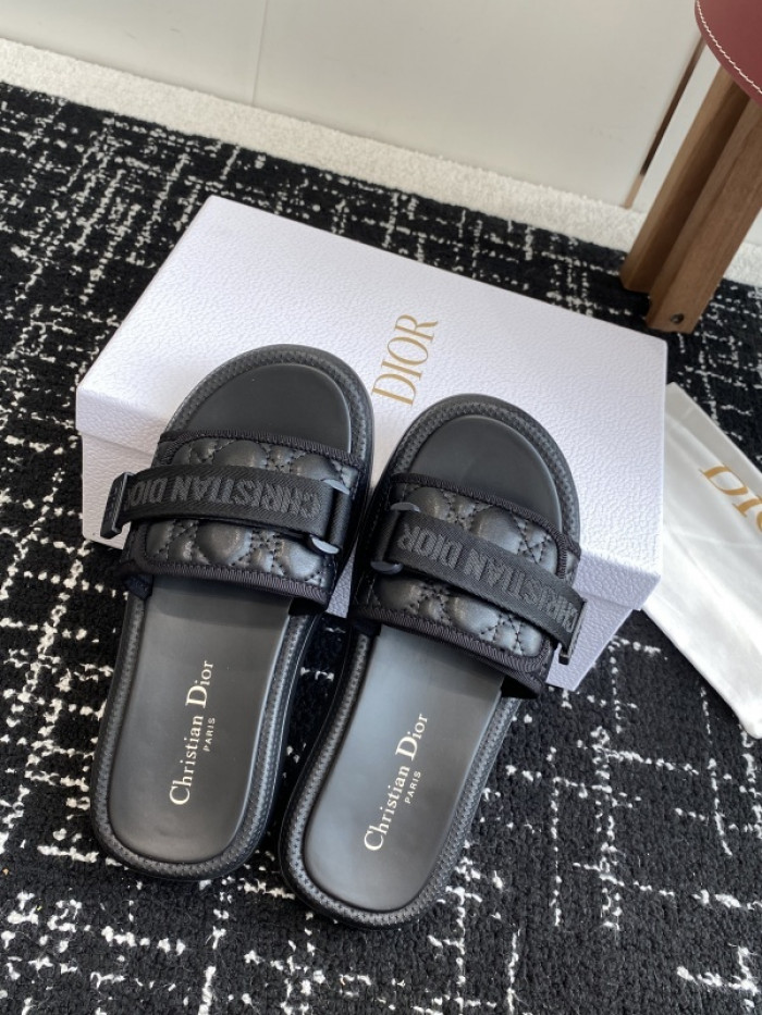D10r slides ds-090