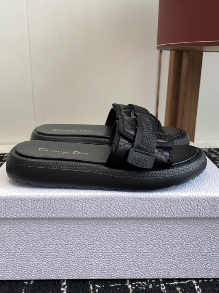 D10r slides ds-090