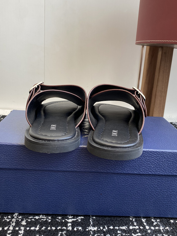 D10r slides ds-076