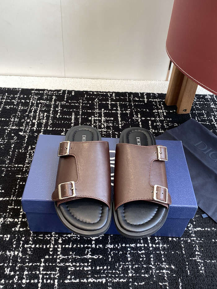 D10r slides ds-076