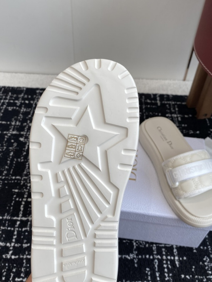 D10r slides ds-089