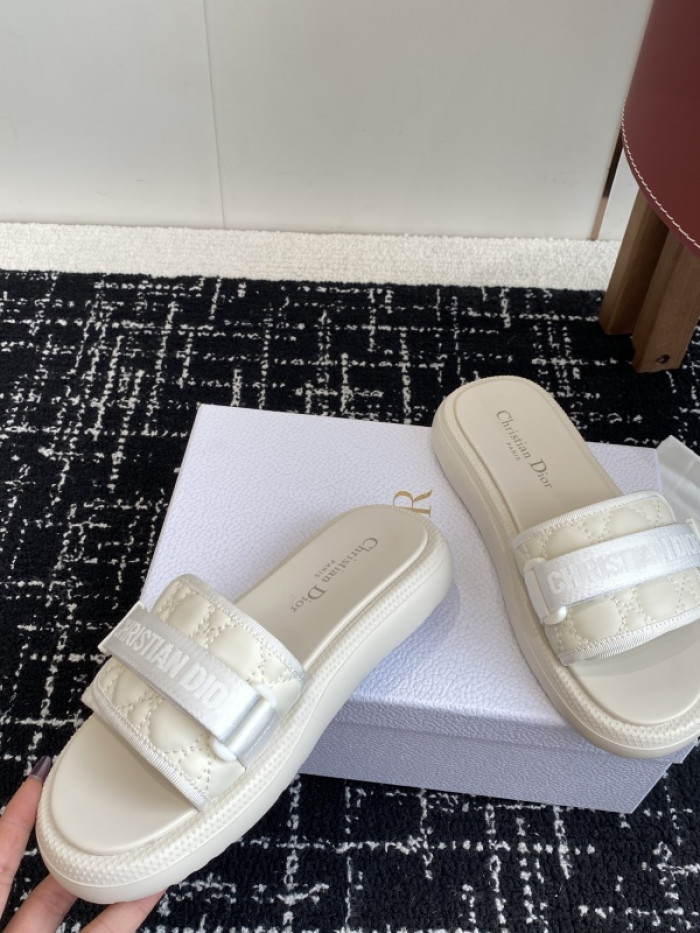 D10r slides ds-089