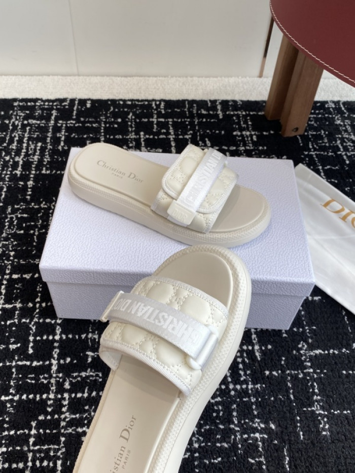 D10r slides ds-089