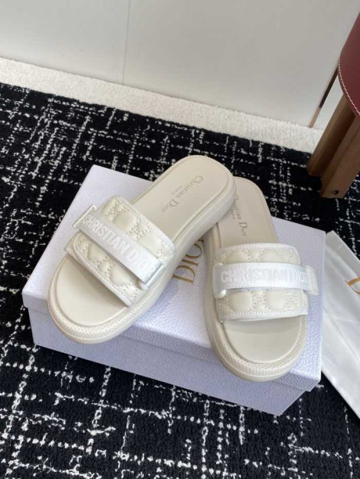 D10r slides ds-089