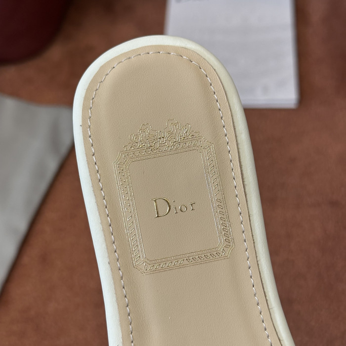 D10r SLIDES DS-0129