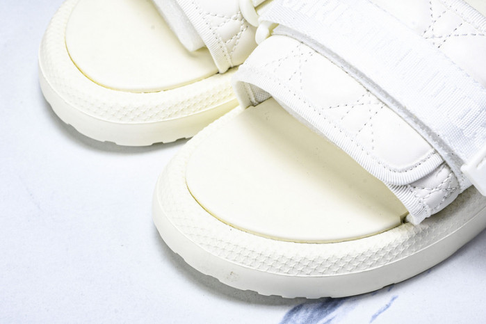 D10r slides ds-079