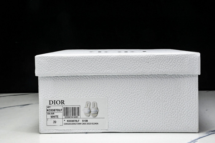D10r slides ds-079