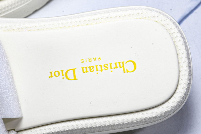 D10r slides ds-079